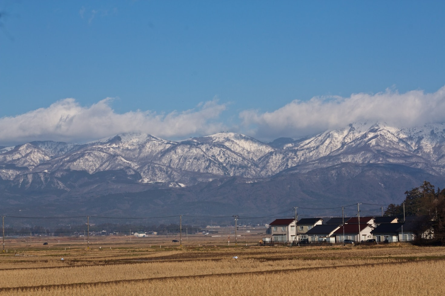 Top Tips for Buying Akiya Homes in Japan