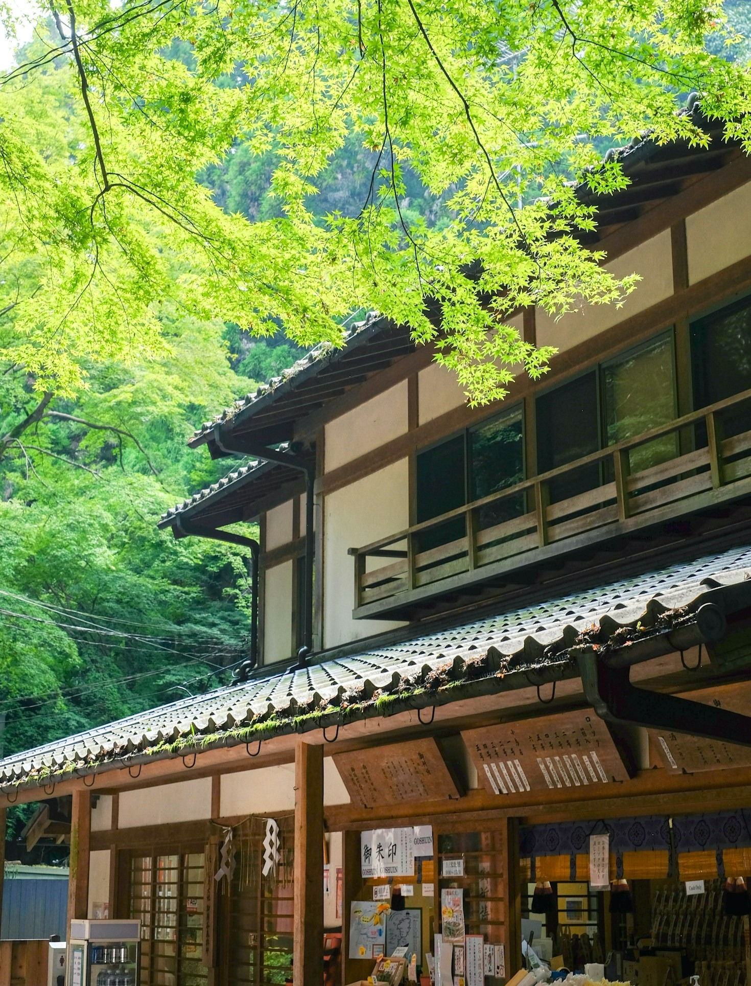 The Charm of Affordable Homes Across Japan